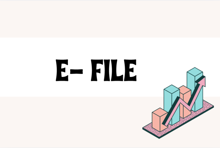 A Glimpse of Understanding E-File: Smart Filing of Taxes Online